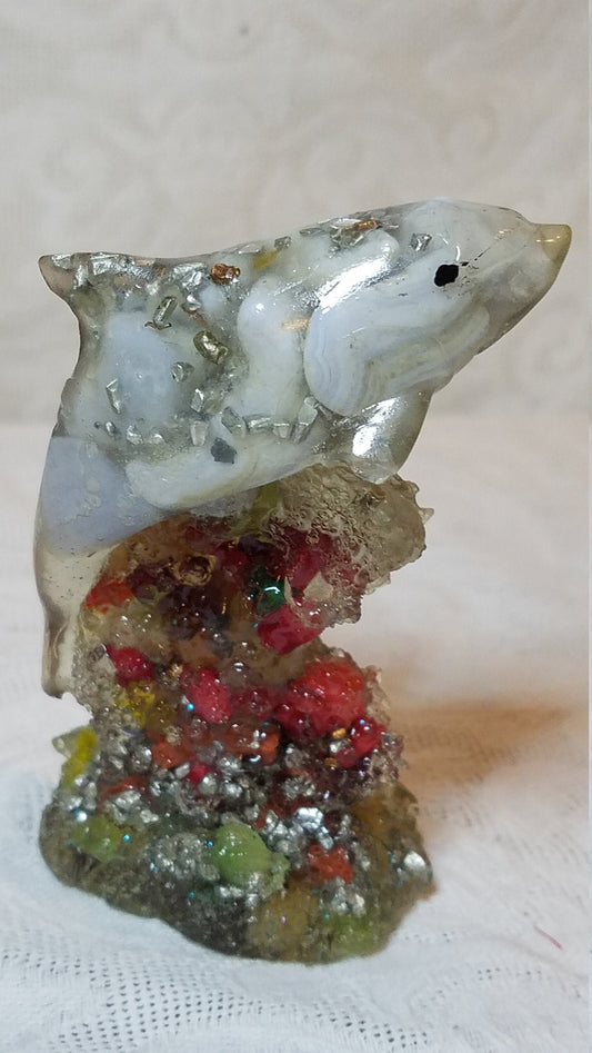Priscilla / Orgone / Dolphin