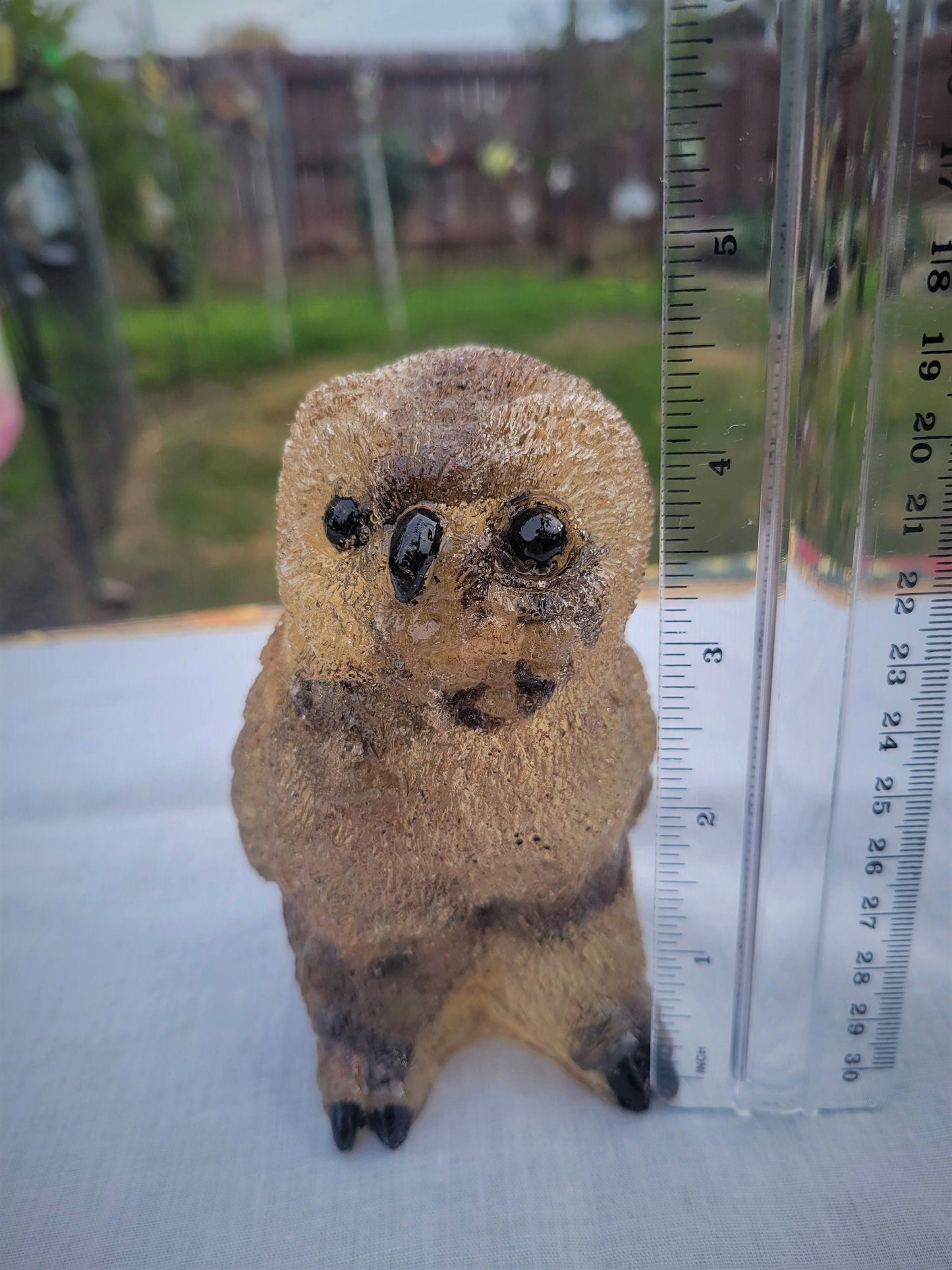 Cassandra / Orgone / Owl