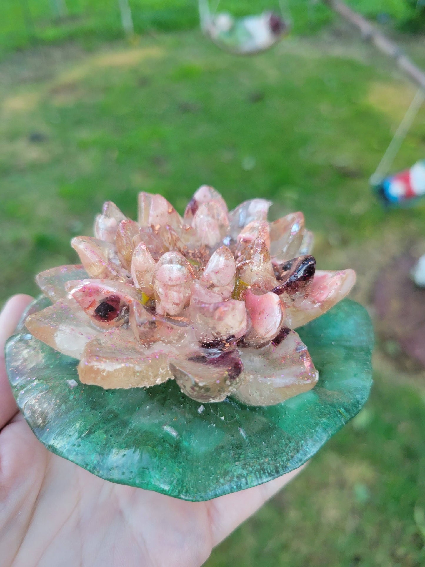 Light Pink Lotus