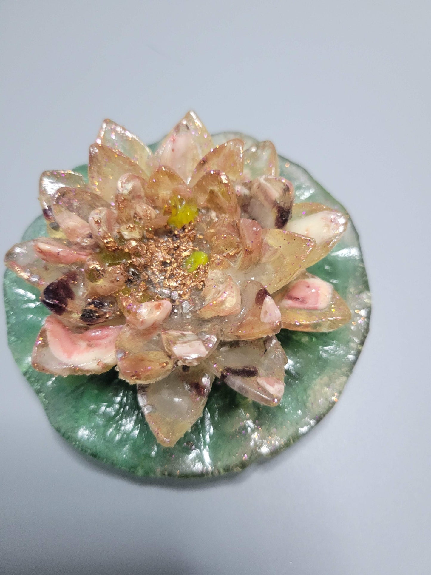 Light Pink Lotus