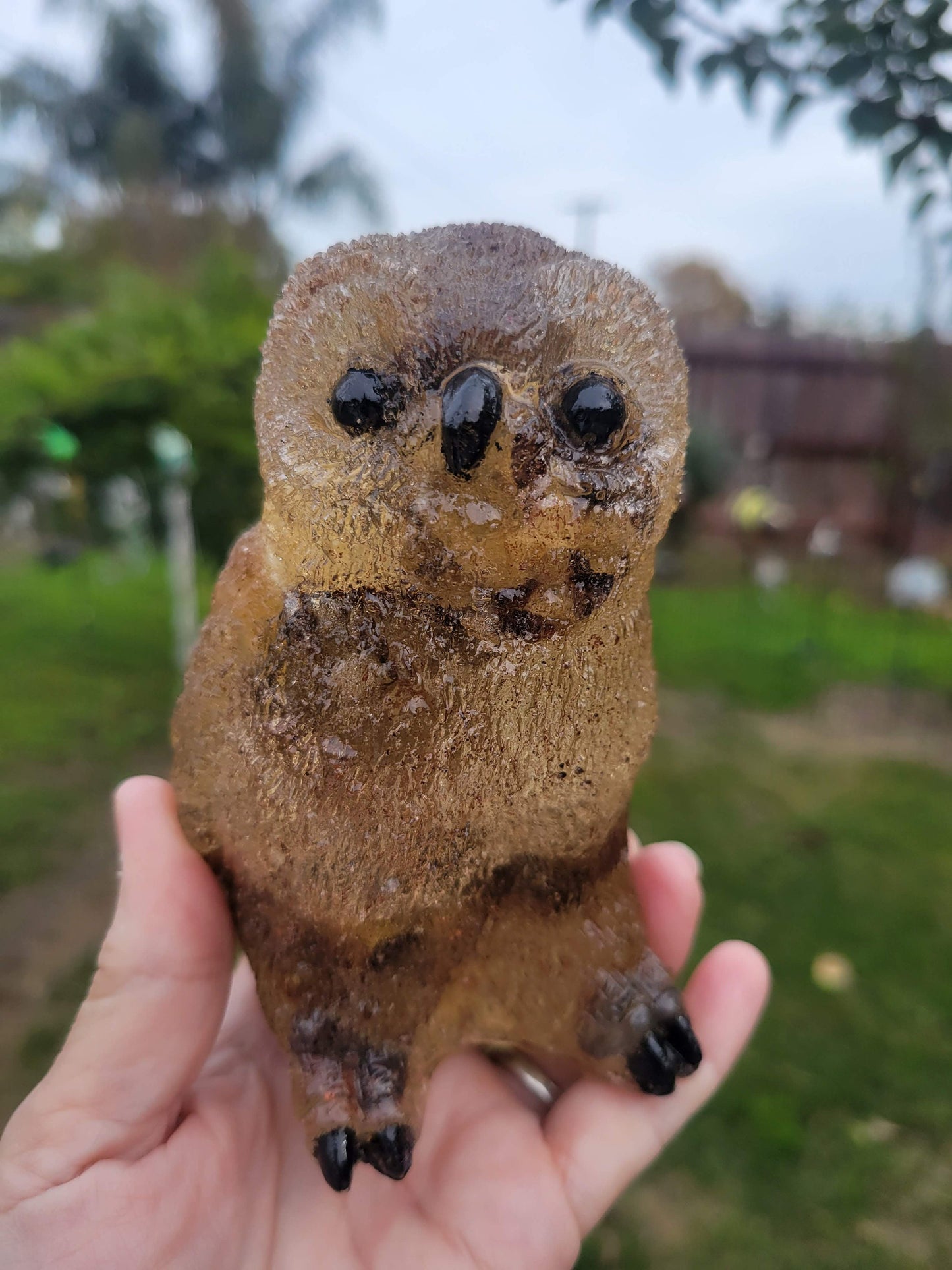 Cassandra / Orgone / Owl