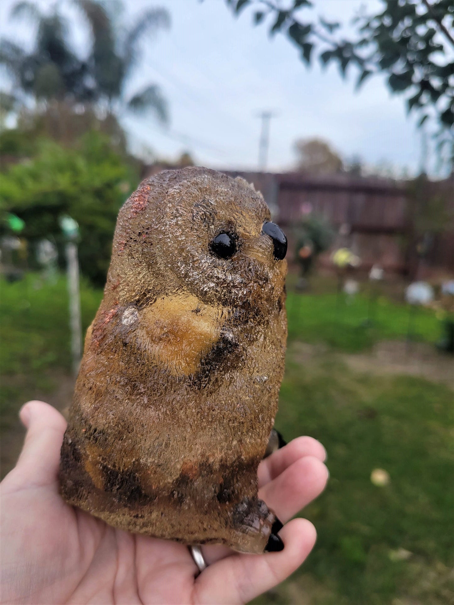 Cassandra / Orgone / Owl