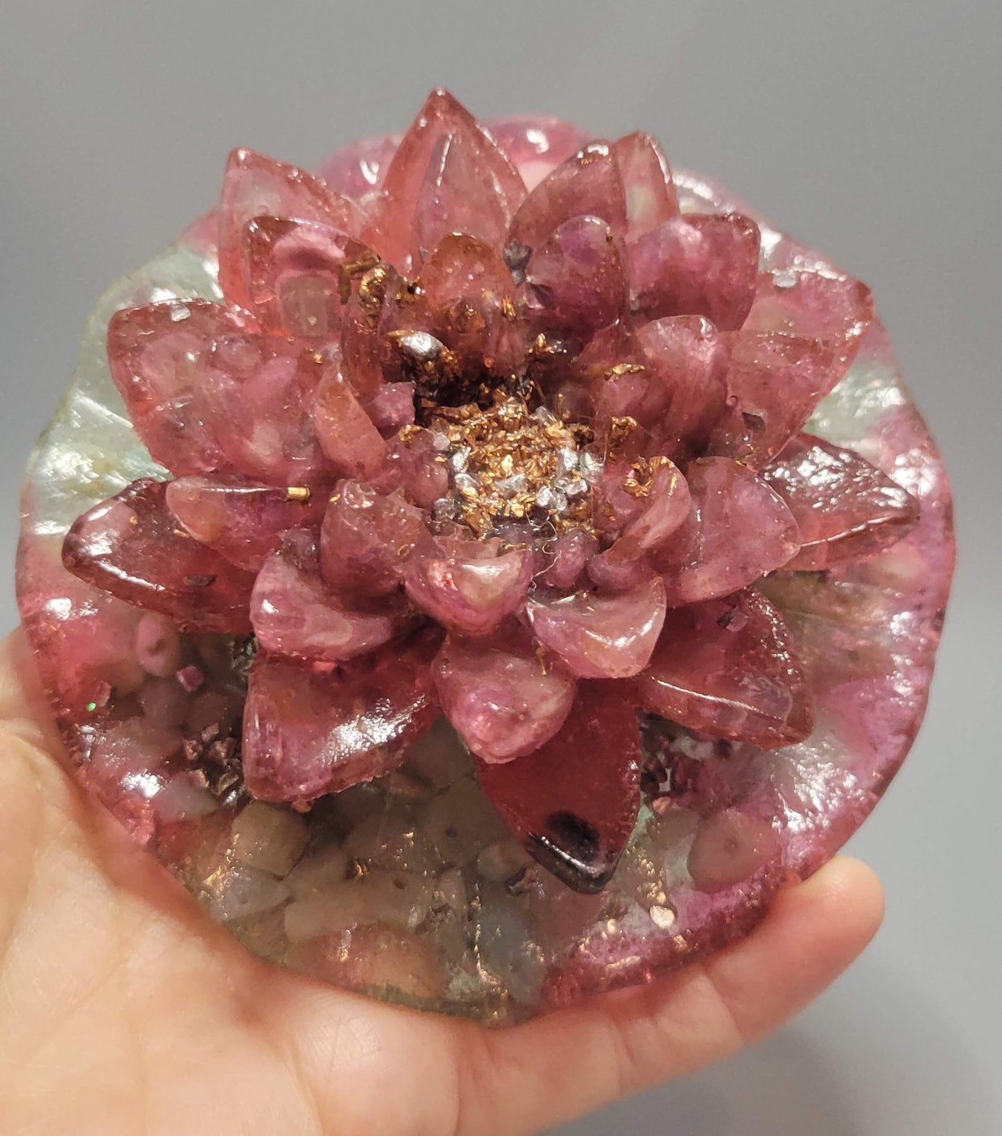 Fuschia Lotus