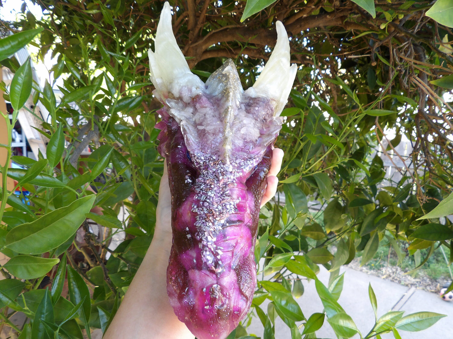 Lejeiera Large Orgone Dragon Head
