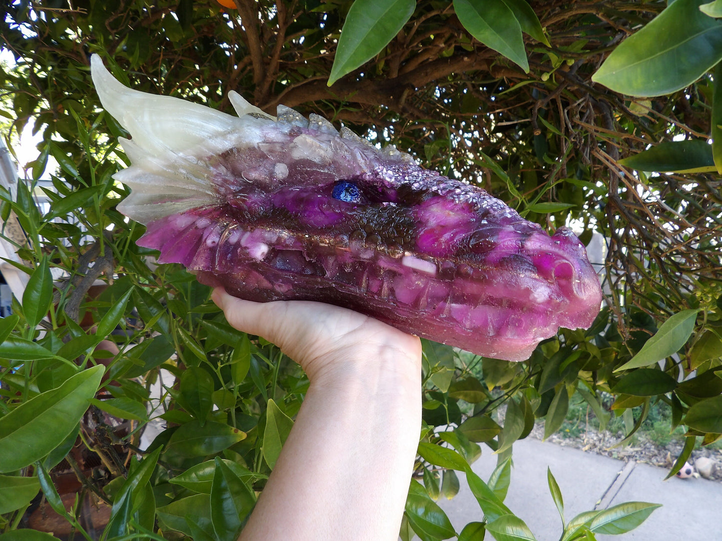 Lejeiera Large Orgone Dragon Head